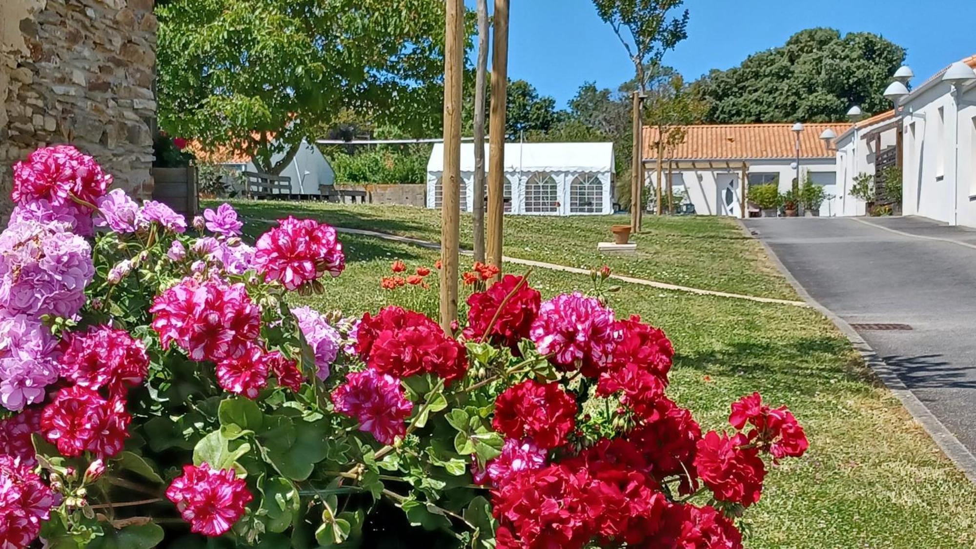 Residence Les Oceanes Les Sables-dʼOlonne Dış mekan fotoğraf